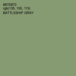 #879B73 - Battleship Gray Color Image